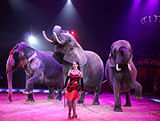 Jana Mandana und James Pydebois mit  Elefanten in der Manege im 2. Winterprogramm 2017 (©Foto: Martin Schmitz)